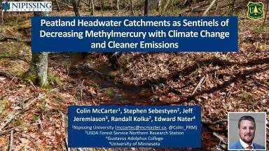 Peatland Headwater Catchments as Sentinels of Decreasing Methylmercury with Climate Change and Cleaner Emissions